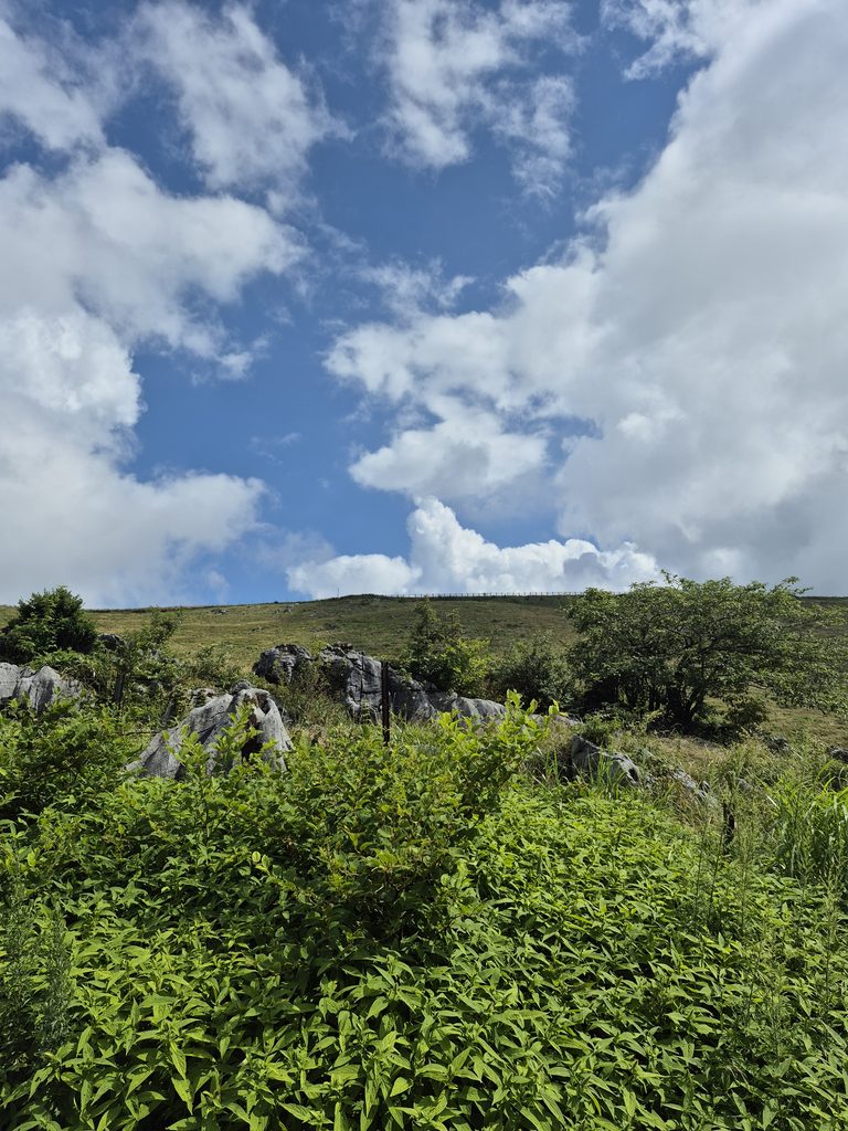 カルスト台地１２